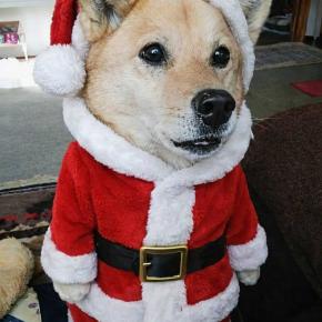 メリークリスマス🎅