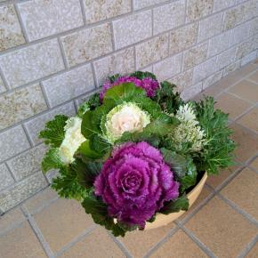 ありがとうございました。