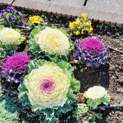 霊峰富士山の名水をいただいて