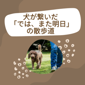 犬が繋いだ「では、また明日」の散歩道。