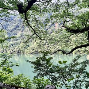 【断捨離】断捨離で職場の自由度を上げ売上V字回復