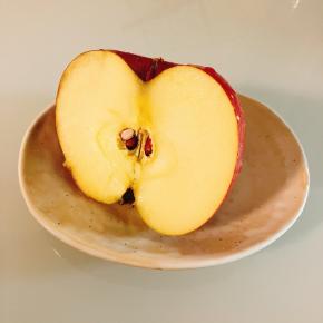 【爆食翌朝】お餅8個でも体重が減っていた理由