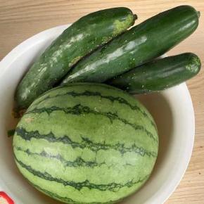 残り少なくなったスイカとカボチャ！