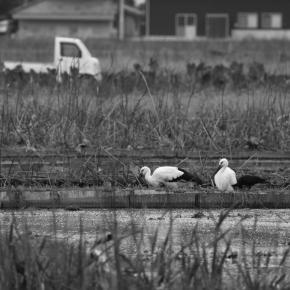 なぜか惹かれる風景