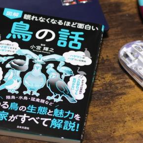 眠れなくなるほど面白い？