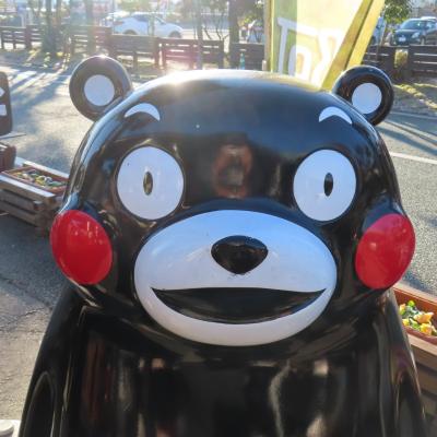 2026年 始まりました