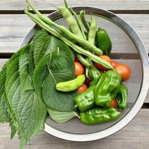 時々は見返して達成感を。