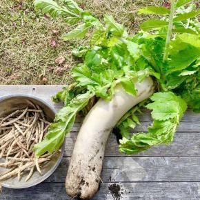 初めてだけど成功！？