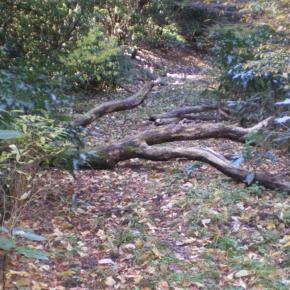 筑波高原キャンプ場は工事中 ～東筑波コース彷徨（後編）