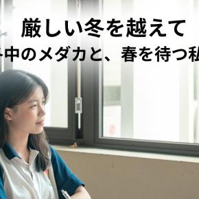 厳しい冬を越えて──越冬中のメダカと、春を待つ私たち