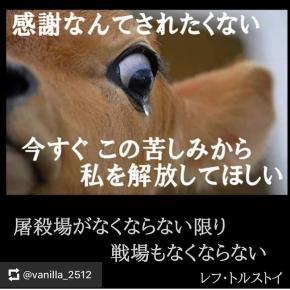 Vegan、動物問題、環境問題を学べる映画