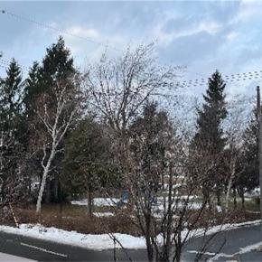 雪がないと思ったら