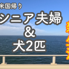 米国帰りシニア夫婦＆犬2匹の新生活