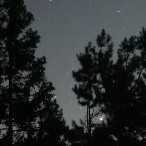 【栃木県佐野市DIY未完のキャンプ場】バードベルにもようやく冬本番の気配が！No.235