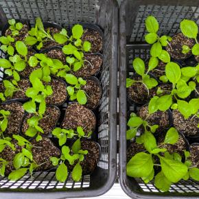 筆跡鑑定で不正防止