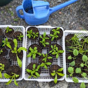 3連休、初日は自分時間を楽しむ