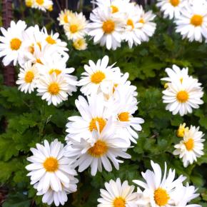 悲しい知らせを聞いて