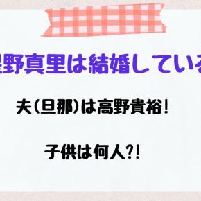 星野真里は結婚している?夫(旦那)は高野貴裕!子供は何人?