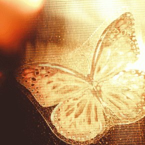 【スクラッチアートとは？】“削る塗り絵”で心が整う！ダイソーで始めるやり方とおすすめ人気作品4選