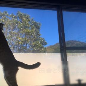 年の瀬に重なるドタバタの乗り切り方