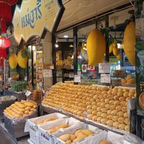 マンゴの季節到来