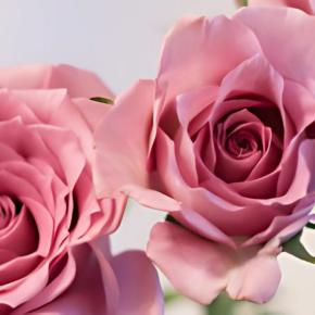 風水と引っ越し①～劇的に「運気」を変える方法～