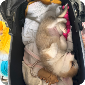 まる のお話し ～ Welcome！（3） ～