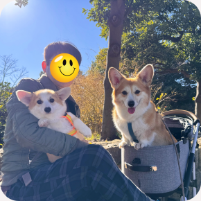 まる のお話し ～ お散歩 ～