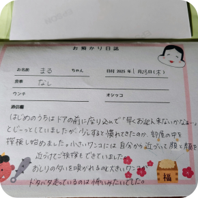 多頭飼い ～ まるの社会勉強はじめ② ～