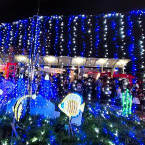 【北名古屋市】西春駅「Night Oasis 2025」11月16日開催決定！点灯時間・アクセス・見どころなど