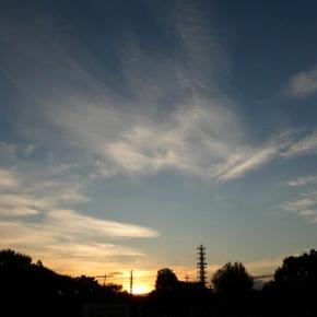 季節は白露 ＆ 叔母