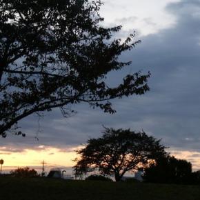 限りある命を生きる方からのメッセージ