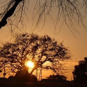 書置きは必要か？否か？