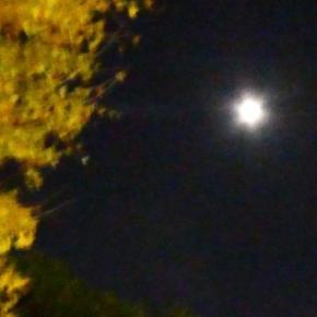 言いたくても言えない…