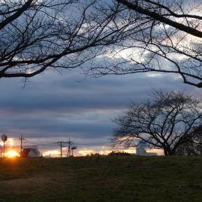 雪下出麦 ＆ 新年の集い