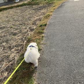 超狭小な注文住宅で諦めたこと