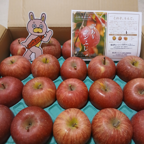 ふるさと納税のリンゴ、到着。蜜がたっぷりでとてもおいしかったです( ´艸｀)
