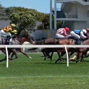 繁殖牝馬Crescentの姪Cavascotレース結果