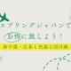 スプリングジャパンでお得に旅しよう！新千歳・広島も快適な国内線