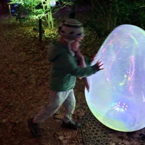 チームラボボタニカルガーデン！