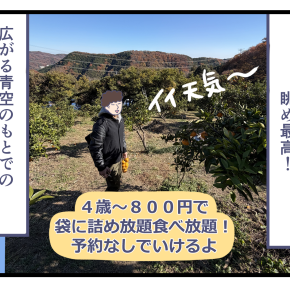 【埼玉県】寄居みかん狩りに行ってきた！