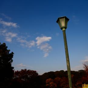 ミラクル船長キャノンではない