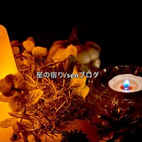 お掃除お掃除♪の日