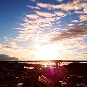 【わかるようでわからん？】ツインレイを果物にたとえたら、めちゃおかしな記事になってしまった件。