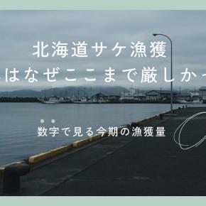 北海道サケ漁獲｜2025年はなぜここまで厳しかった？