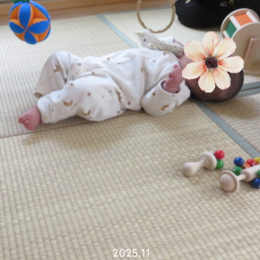 ニド（0歳クラス）（2025年11月）