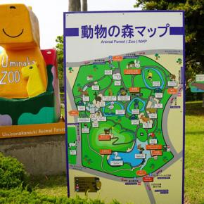 海の中道海浜公園-動物の森-1