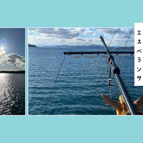 写真のアルバムが猫だらけとはいえ、猫以外にも好きなものくらいあるよ…！