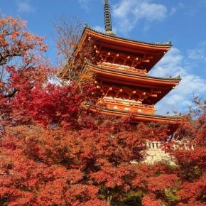 明けましておめでとうございます