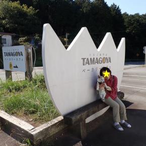 ピース17歳になりました～と2泊3日のプレ誕生日伊豆旅行（2泊目はうぶどの森）